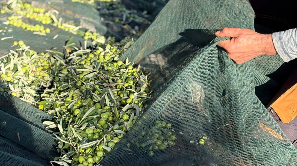 Villas Hvar Hero Image