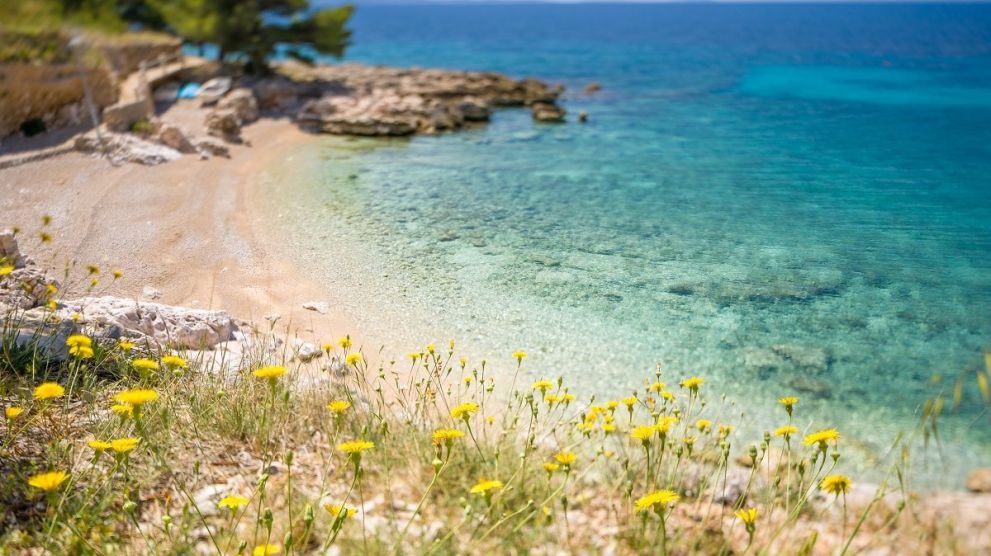 Villas Hvar Hero Image