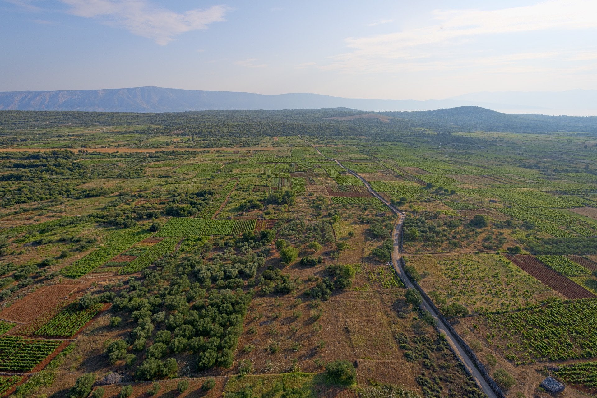 Stari Grad Plain
