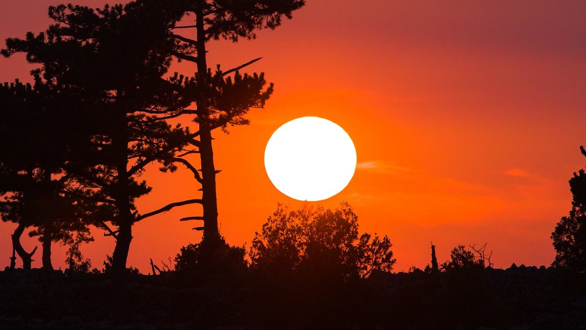 Seeds of Future Seeds of Future