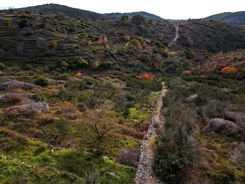 tour of nature's cure tour of nature's cure