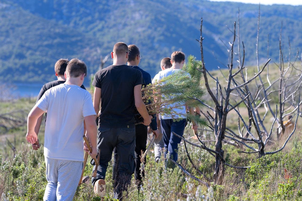 plant tree on Hvar Island