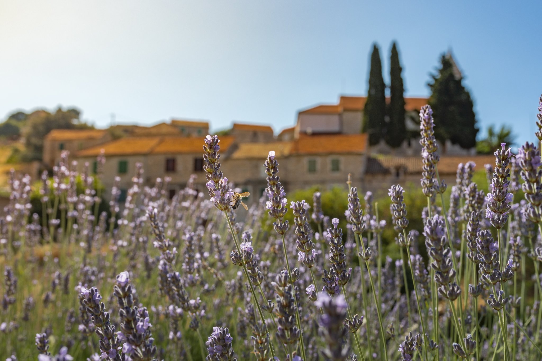 velo grablje velo grablje