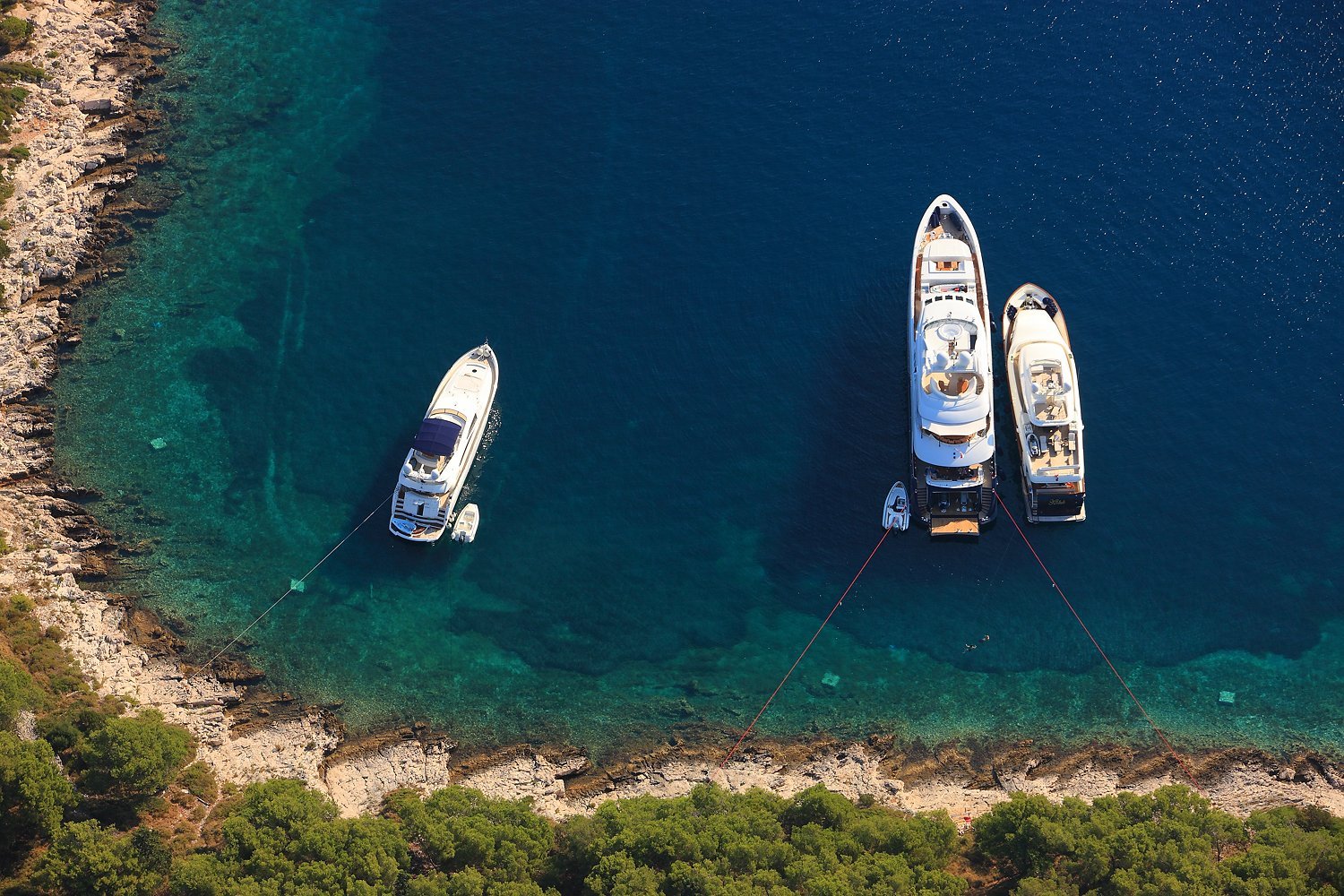 boats